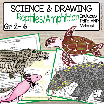 Bundle Reptiles and Amphibians Directed Drawing with Science Lessons
