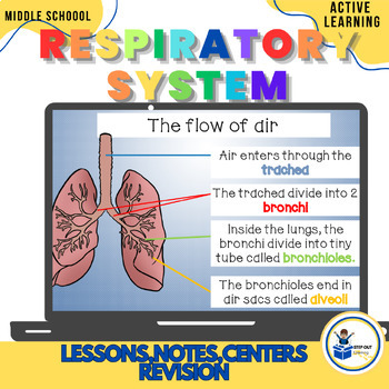 Preview of Respiratory /Breathing system -slides, worksheets, scavenger hunt, activity