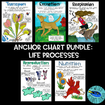 Preview of Bundle: Science Scaffolded Note / Anchor Charts - Life Processes