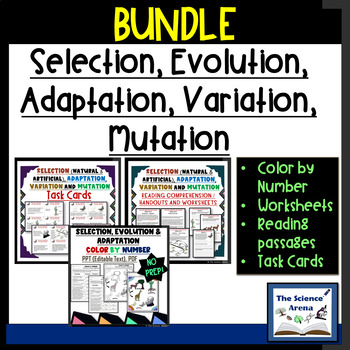 Preview of Bundle | Selection, Variation, Adaptation Color by Number, Worksheets, Task Card