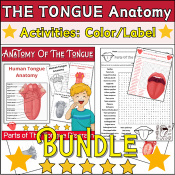 Preview of Bundle THE TONGUE Anatomy Activities: Labeling & Coloring ,Word Search ✅No Prep✅