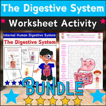 Preview of Bundle The Digestive System ANATOMY Activities: Labeling & Coloring,Word Search