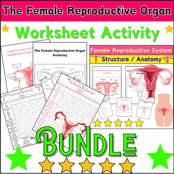 Preview of Bundle The Female Reproductive Organ Diagrams Anatomy Activities: Labeling & Col
