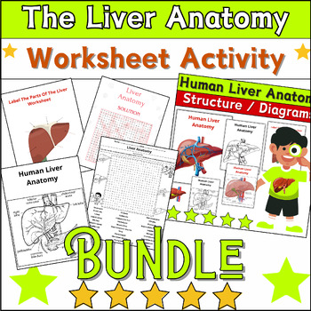Preview of Bundle The Liver Anatomy Activities: Labeling & Coloring,Word Search ✅No Prep