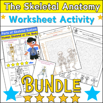 Preview of Bundle The Skeletal Anatomy Activities: Coloring & Labeling,Word Search✅No Prep✅