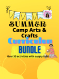 Bundle of 2 Arts & crafts camp/ art club curriculum w supp