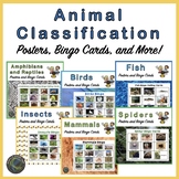 Animals Classification Bingo, Posters, and More BUNDLE