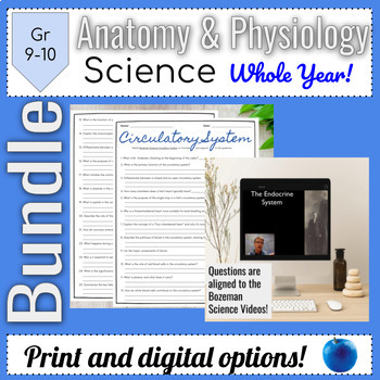 Preview of Bundle of Bozeman Science A&P YouTube Video Comprehension Worksheets