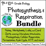 Bundle of Lessons - Photosynthesis and Cellular Respiration