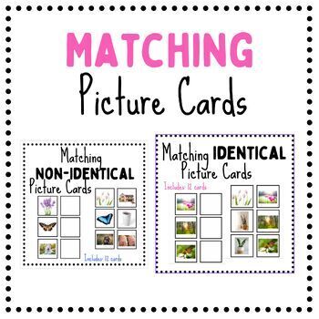 Preview of Matching Identicals and Non-Identicals Bundle