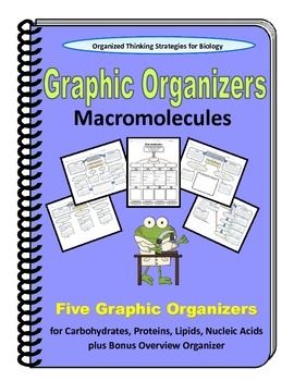 Preview of Bundled Graphic Organizers for Macromolecules