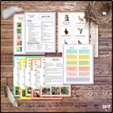 NO PREP Complete Montessori Preschool Bundle Theme: Birds