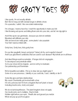Preview of Bungee Jumpin' Cows Song Lyrics - Groty Toes