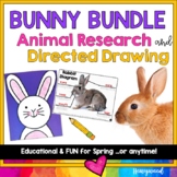 Bunny BUNDLE : animal research & directed drawing : Easter