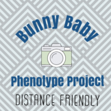 Bunny Baby Phenotype Project
