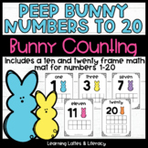 Bunny Math Activities Counting Math Centers Ten Frames Num
