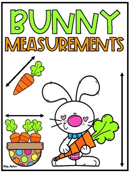 Preview of Bunny Measurements