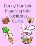 Bunny Number Matching with Subitizing Cards | Numeral Matc