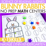 Bunny Rabbits Themed Math Centers Kindergarten First Grade