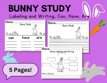 Preview of Bunny Research Study- Science Learn: Labeling, Writing, Can, Have, Are