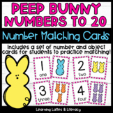 Bunny Task Cards Number Recognition Spring Math Centers Nu