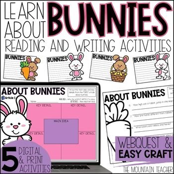 Preview of Bunny or Rabbit Reading Comprehension Activities with Webquest and Writing Craft