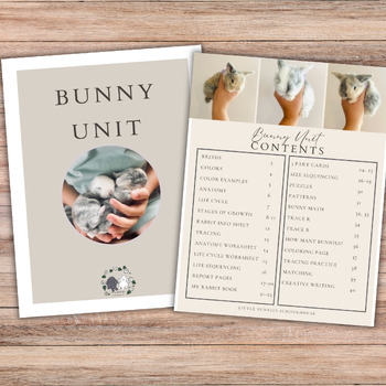 Preview of Bunny unit BUNDLE