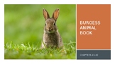 Burgess Animal Book - Chapters 21-40 Supplement - Animal S