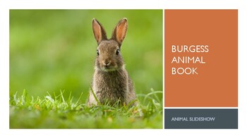 Preview of Burgess Animal Book - Supplement - Animal PDF