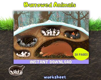 Preview of Burrowed Animals Worksheets Preschool Science