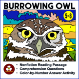 Burrowing Owl Nonfiction Reading Passage, Worksheet and Co