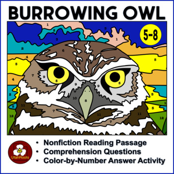 Preview of Burrowing Owl Nonfiction Reading Passage, Worksheet and Color-by-Number Activity