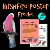 Bushfires Australia Freebie |  Biomimicry Compatible with NGSS