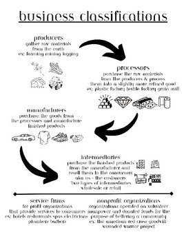 Business Classification Infographic by April Everingham | TPT