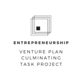 Business Entrepreneurship: Culminating Term Project Task (