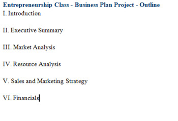 Preview of Business Plan Project - Entrepreneurship/Career Class