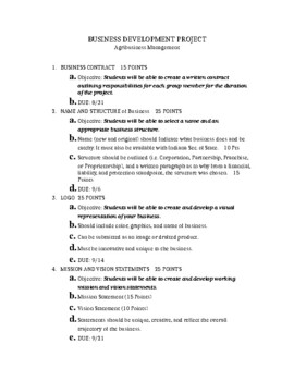 Preview of Business Simulation Project (Semester or Year Curriculum)