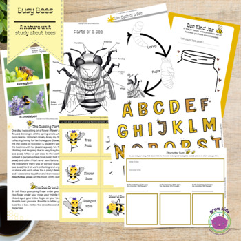 Preview of Busy Bees: An All-Level Nature Unit Study About Bees & Card Game