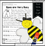 Busy Bees - Literacy and Craft