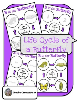 Busy Binder - Life Cycle of a Butterfly by TeacherCreatorMom | TPT