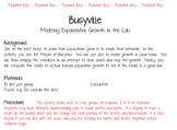 Busyville: Modeling Exponential Growth through Lab