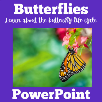 Preview of BUTTERFLY BUTTERFLIES LIFE CYCLE Activity PowerPoint SCIENCE 1st 2nd 3rd Grade