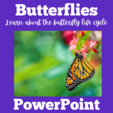 Butterfly Life Cycle | PowerPoint Kindergarten 1st 2nd 3rd