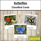Types of Butterflies - Montessori 3-Part Cards - Vocabulary, ESL