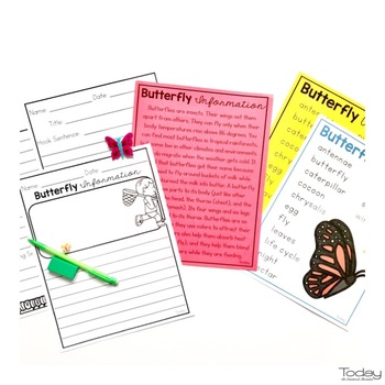 reading comprehension passages and questions - Butterflies | TpT