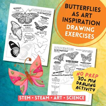 Butterflies As Art Inspiration - Drawing Exercises by KrakenSky | TPT