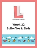 Butterflies & Birds Preschool Lesson Plan