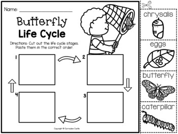 Butterflies: Butterfly Life Cycle Print & Digital Activities BUNDLE