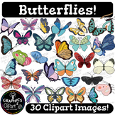Butterflies Clip Art Set 30 Colorful Species {Clipart for 