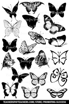 Butterflies Insect Clipart for Commercial Use Digital Moveable Pieces ...